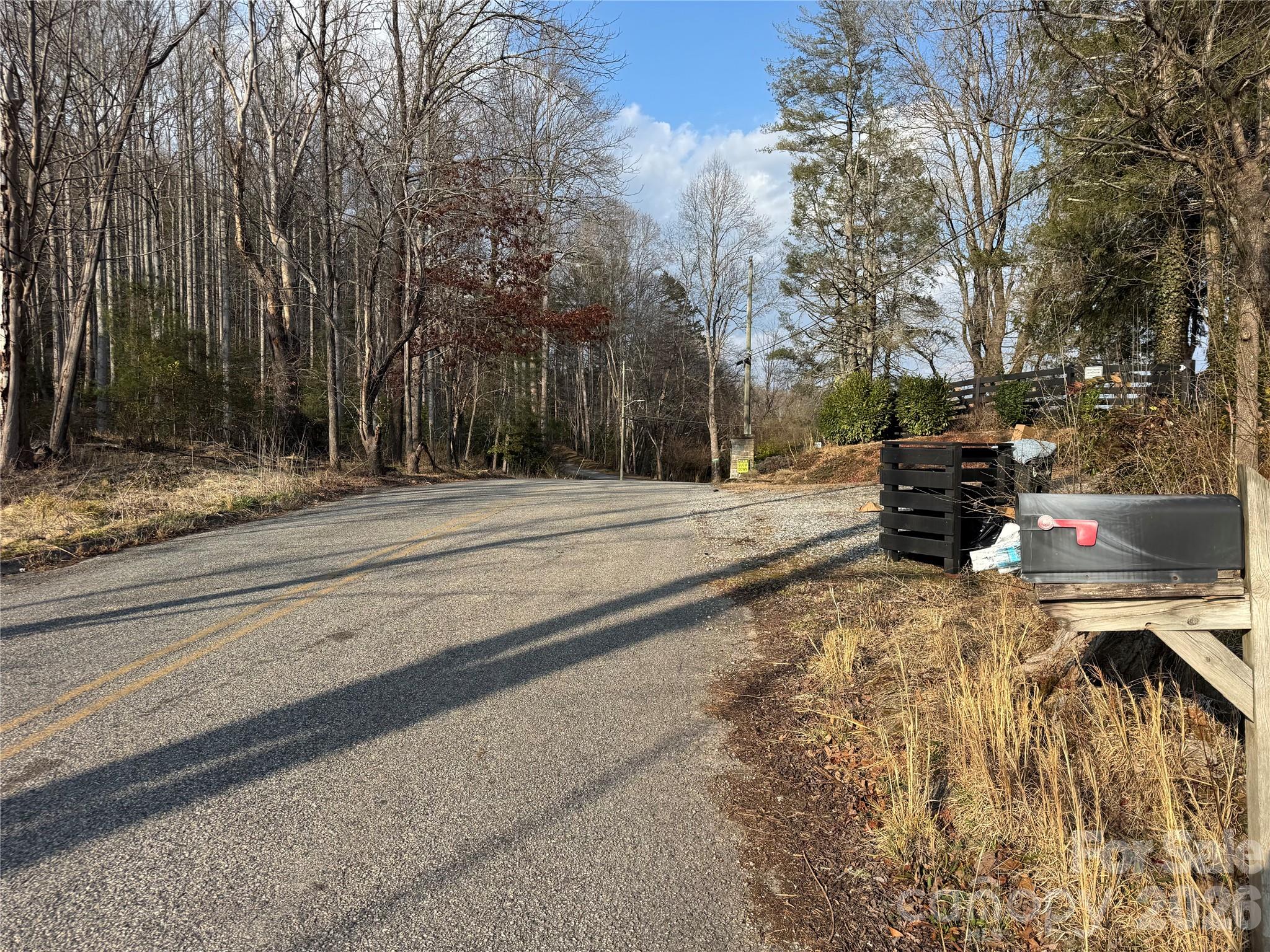 481 Fisher Road Brevard, NC 28712 - Photo 15 of 16 a park view with large trees