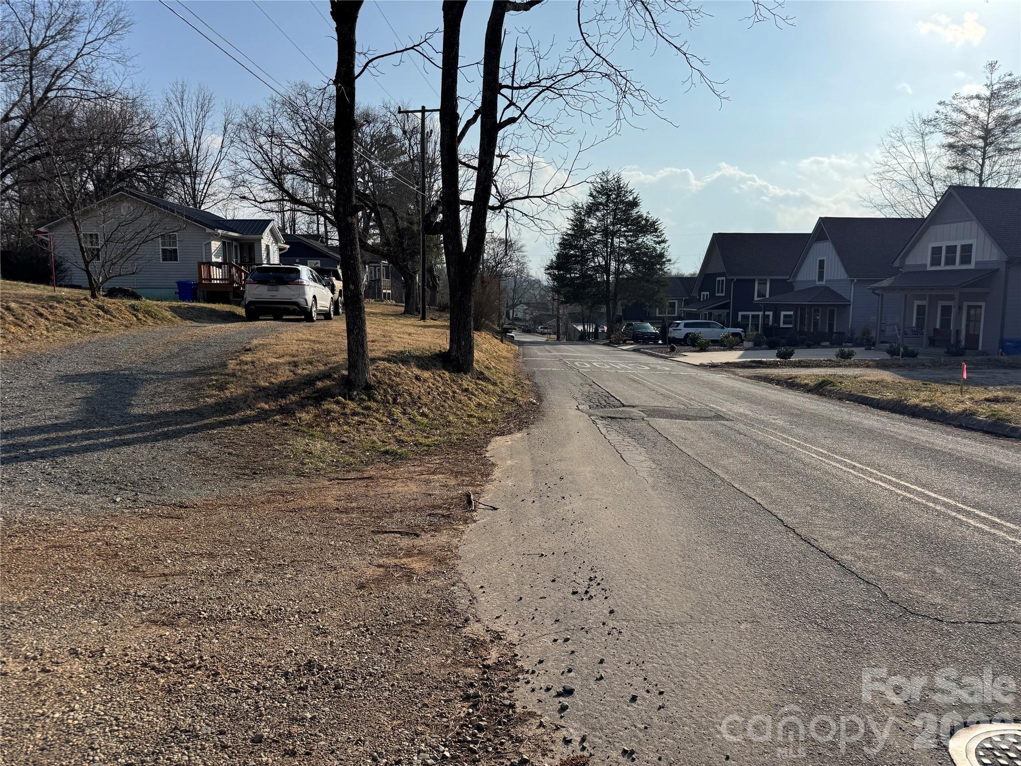 481 Fisher Road Brevard, NC 28712 - Photo 16 of 16 a street view with large trees