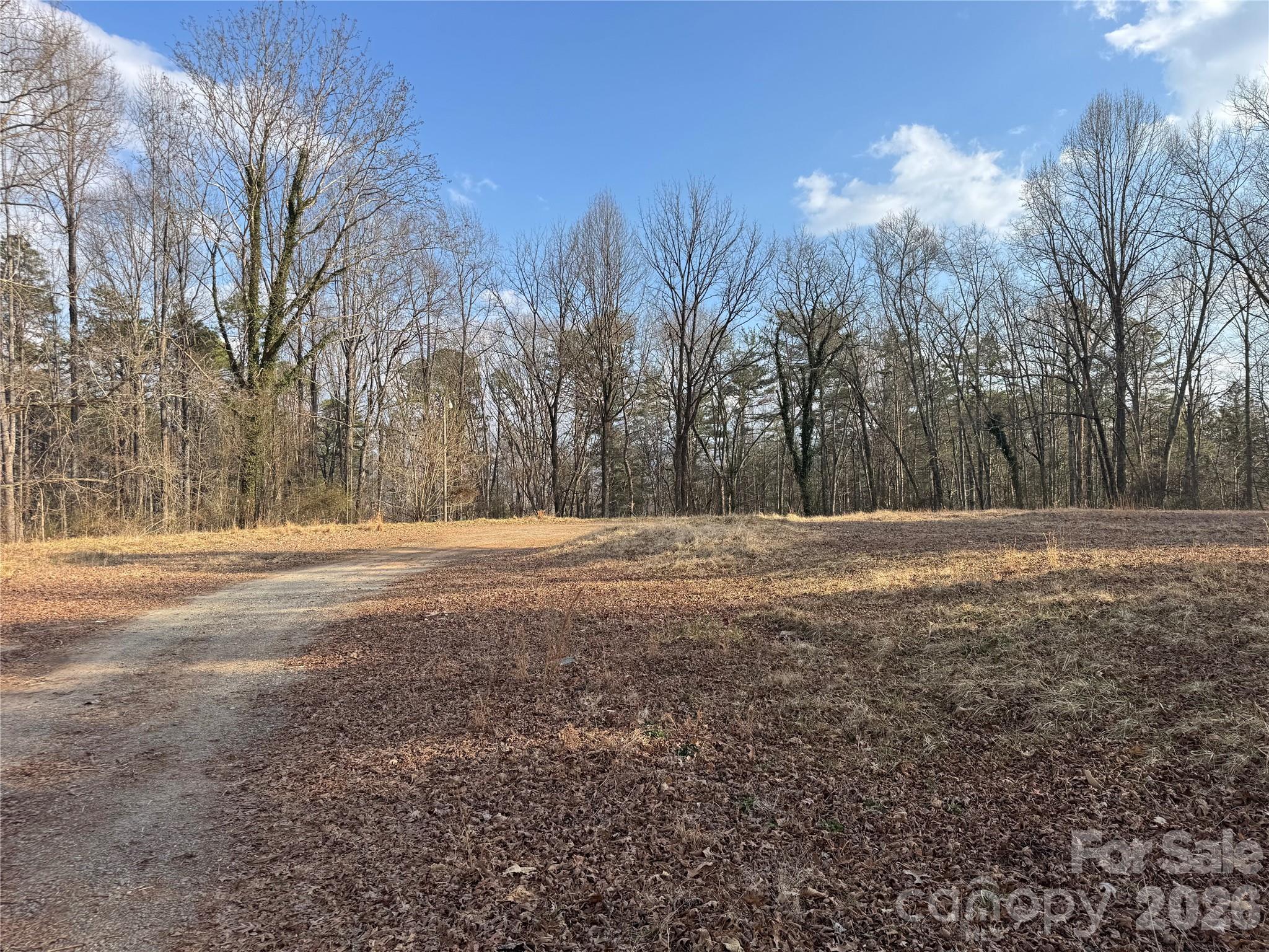481 Fisher Road Brevard, NC 28712 - Photo 2 of 16 a view of dirt field and trees