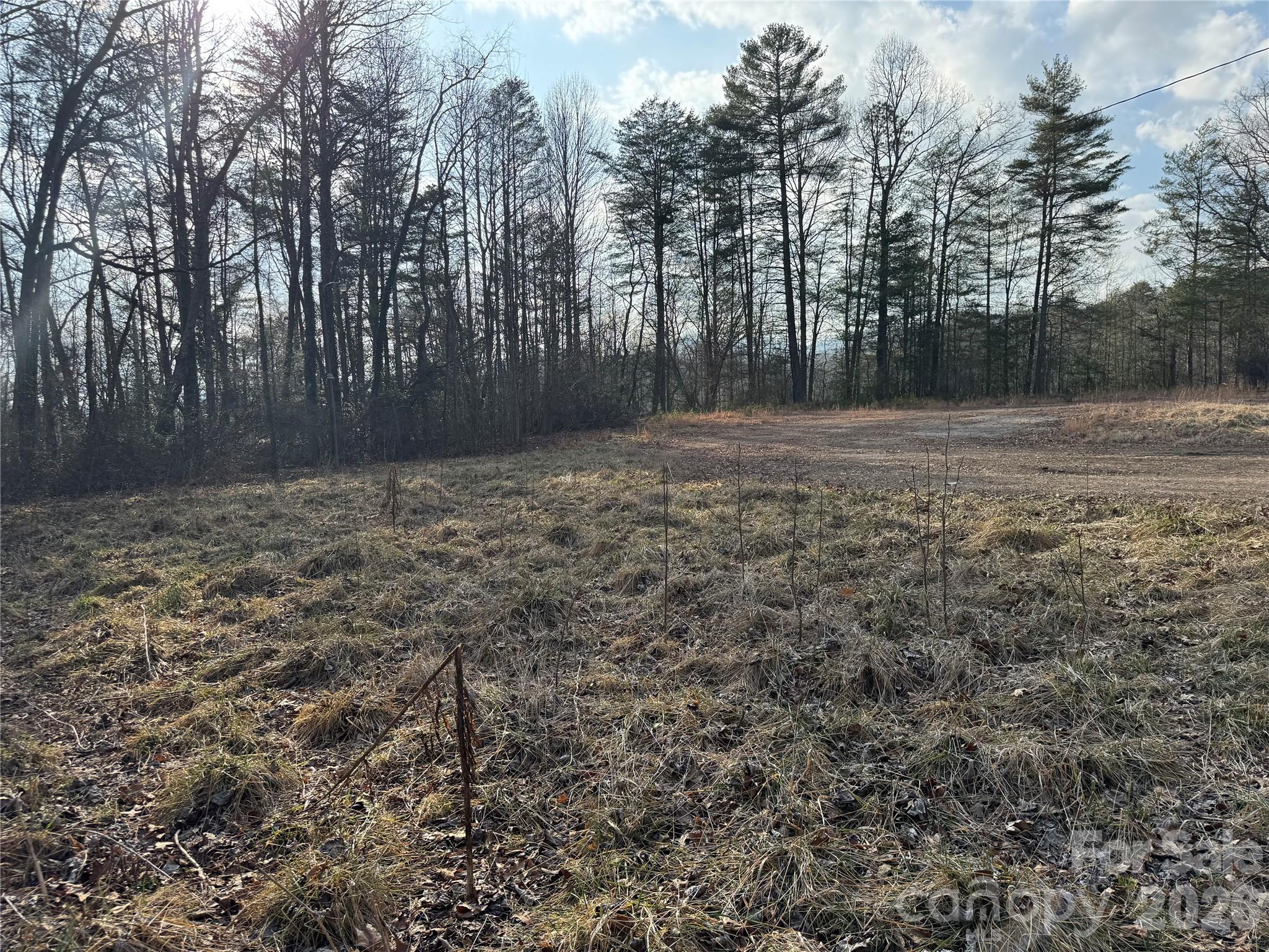481 Fisher Road Brevard, NC 28712 - Photo 4 of 16 a view of a yard with trees