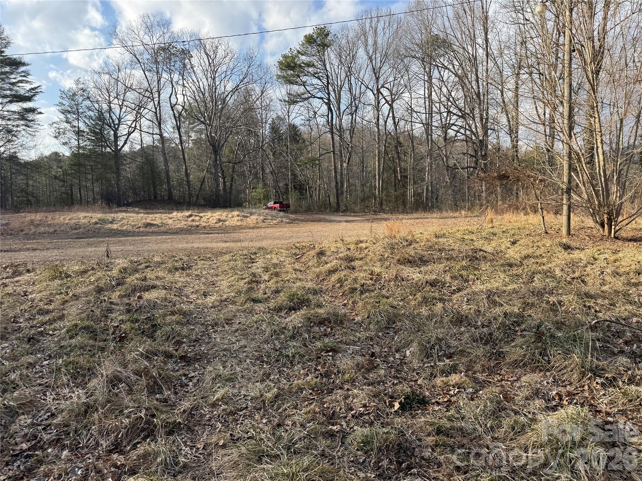 481 Fisher Road Brevard, NC 28712 - Photo 5 of 16 a view of a yard