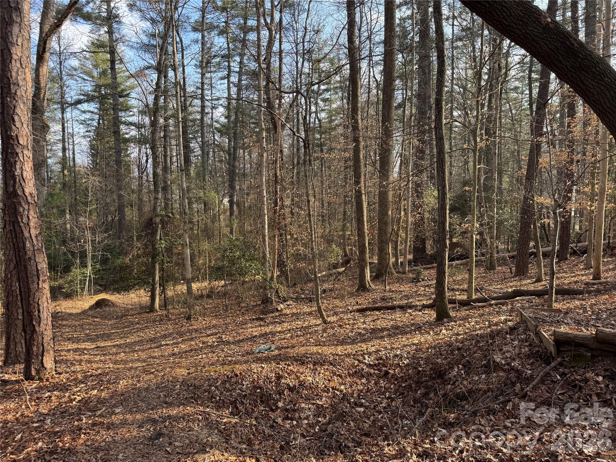 481 Fisher Road Brevard, NC 28712 - Photo 10 of 16 a backyard of a house with lots of green space