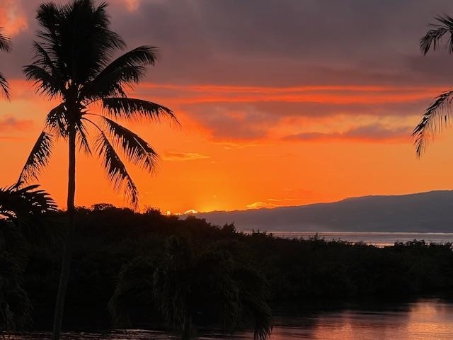 7146 Kamehameha V Highway, Unit B309 Kaunakakai, HI 96748 - Photo 13 of 24