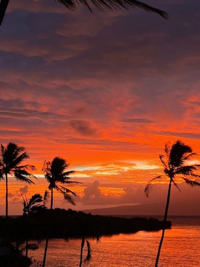 7146 Kamehameha V Highway, Unit B309 Kaunakakai, HI 96748 - Photo 22 of 24