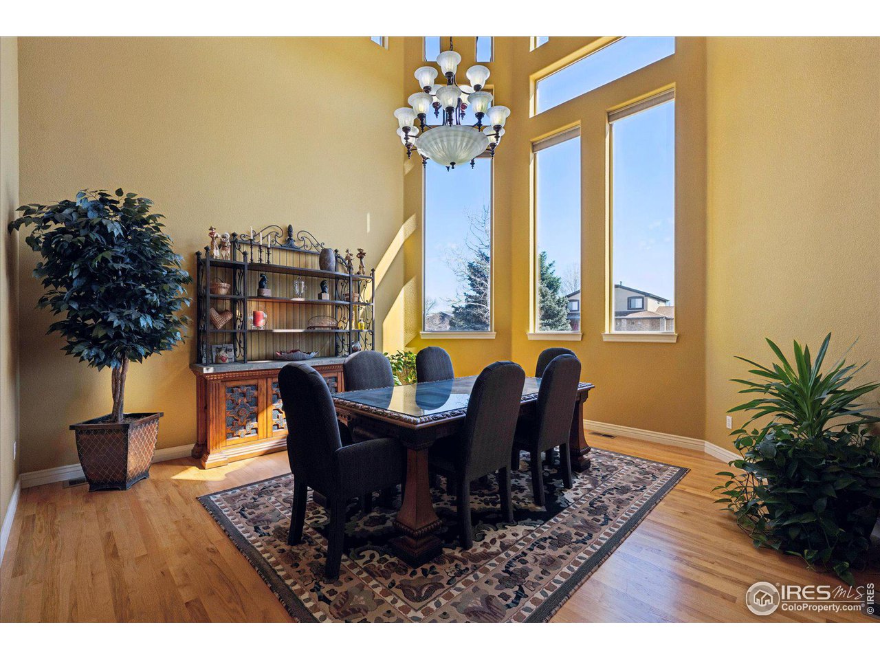 8023 Dawnhill Circle Erie, CO 80516 - Photo 7 of 38