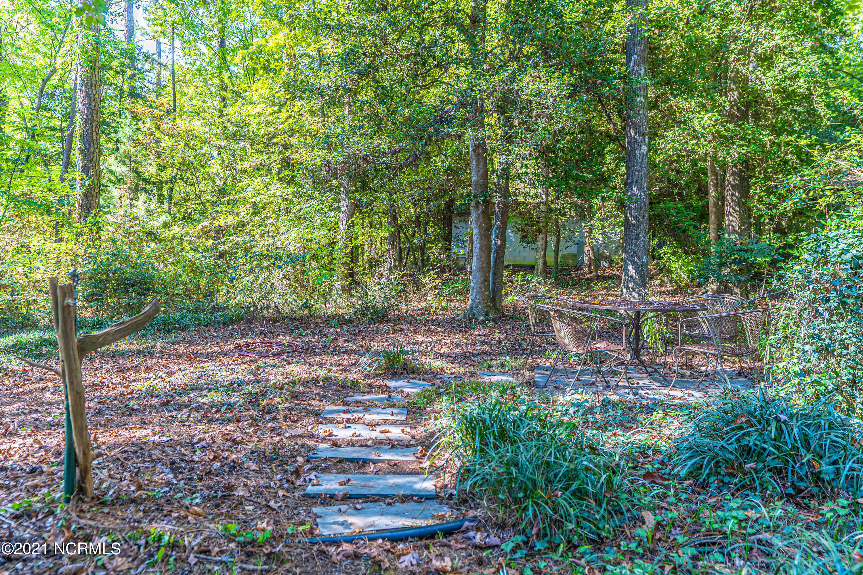142 Grey Fox Road Ellerbe, NC 28338 - Photo 80 of 95 DSC07341