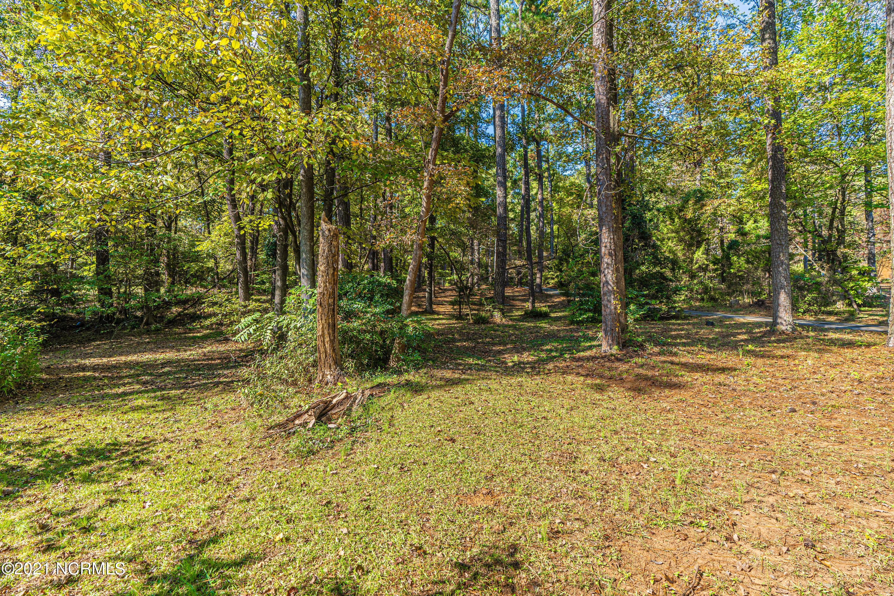 142 Grey Fox Road Ellerbe, NC 28338 - Photo 90 of 95 DSC07358