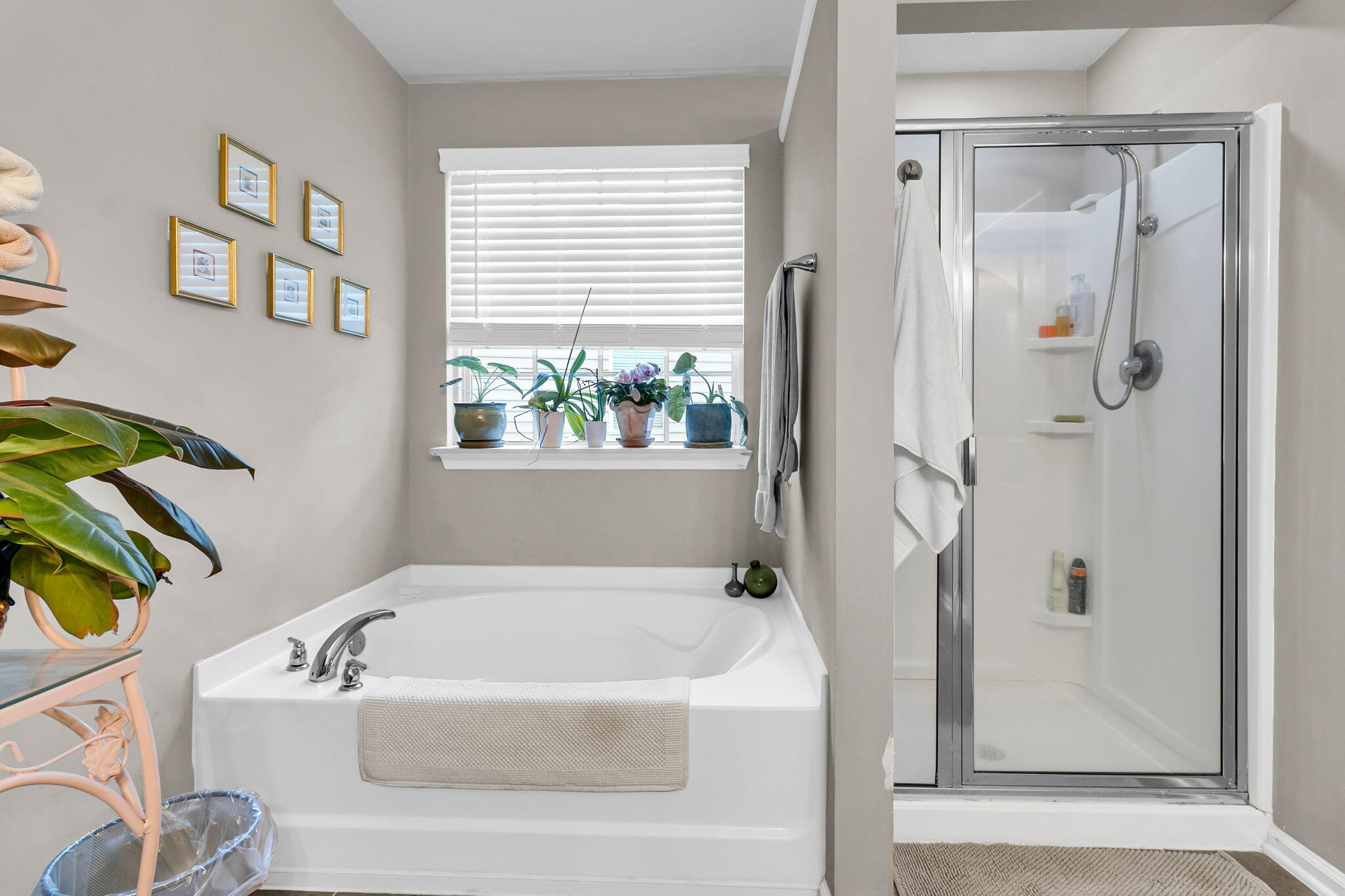 146 Hickory Ridge Way Summerville, SC 29483 - Photo 33 of 46 CREM - 146 Hickory Ridge Way-14