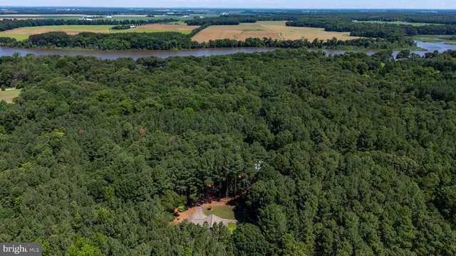 a view of outdoor space with deck and tree