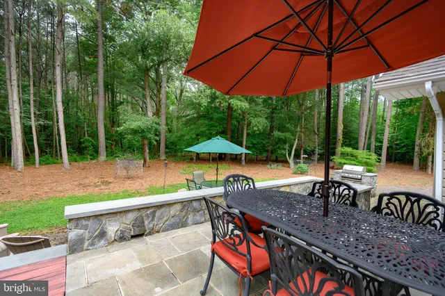 a view of a park with large trees