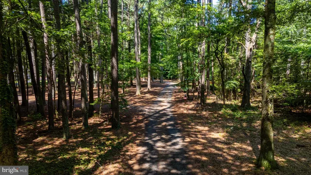 a view of a park with a slide