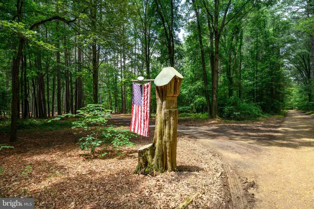 a view of outdoor space with lots of trees