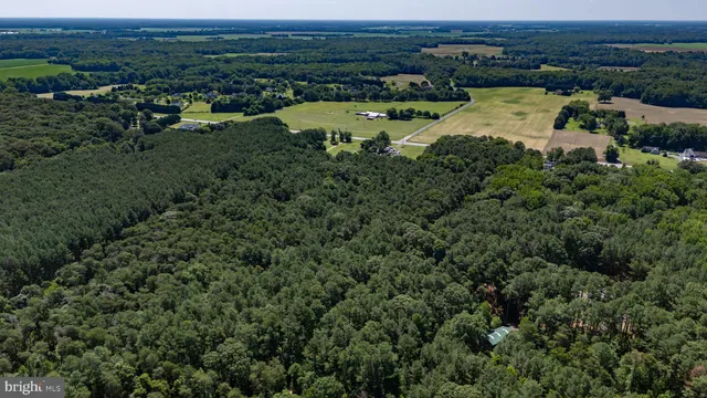 $785,000 | 201 Dogwood Lodge Lane, Millington, MD 21651