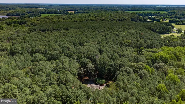 $785,000 | 201 Dogwood Lodge Lane, Millington, MD 21651