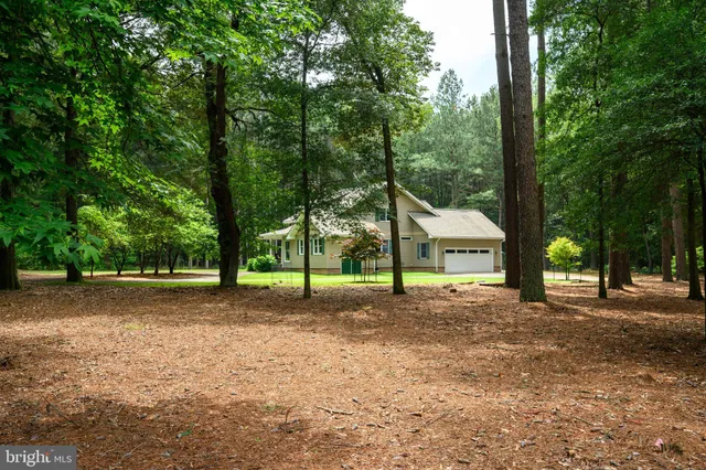 a view of a house with a yard and large tree