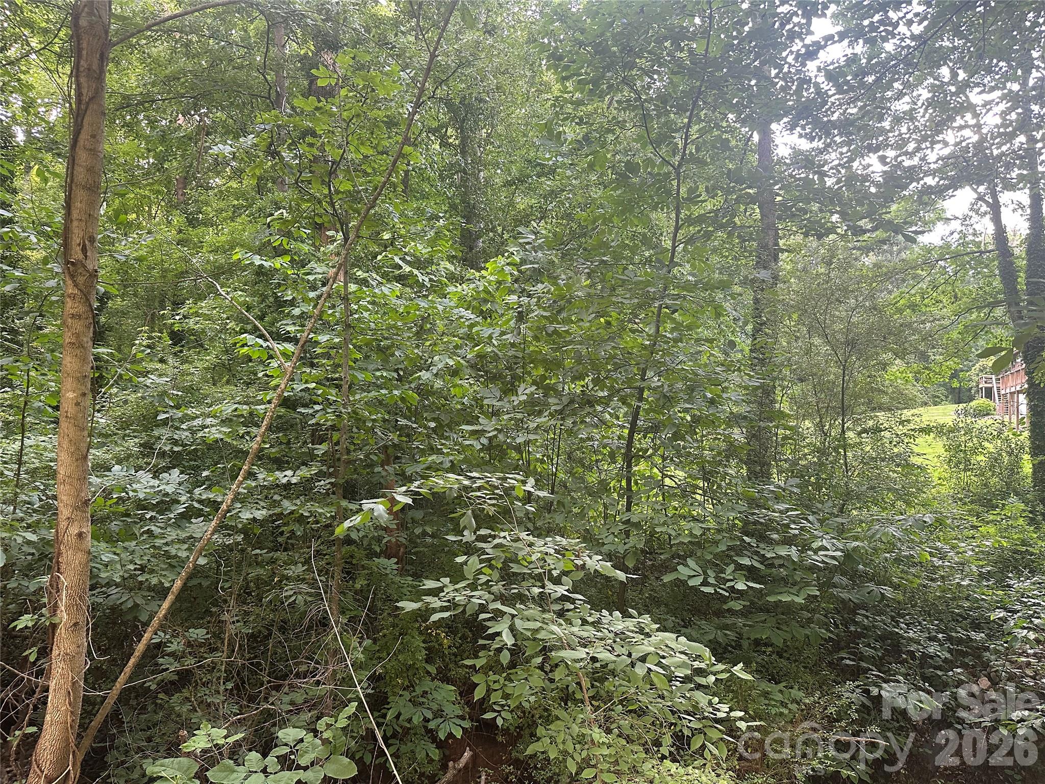 0 Briarcliff Road Rockwell, NC 28138 - Photo 24 of 25