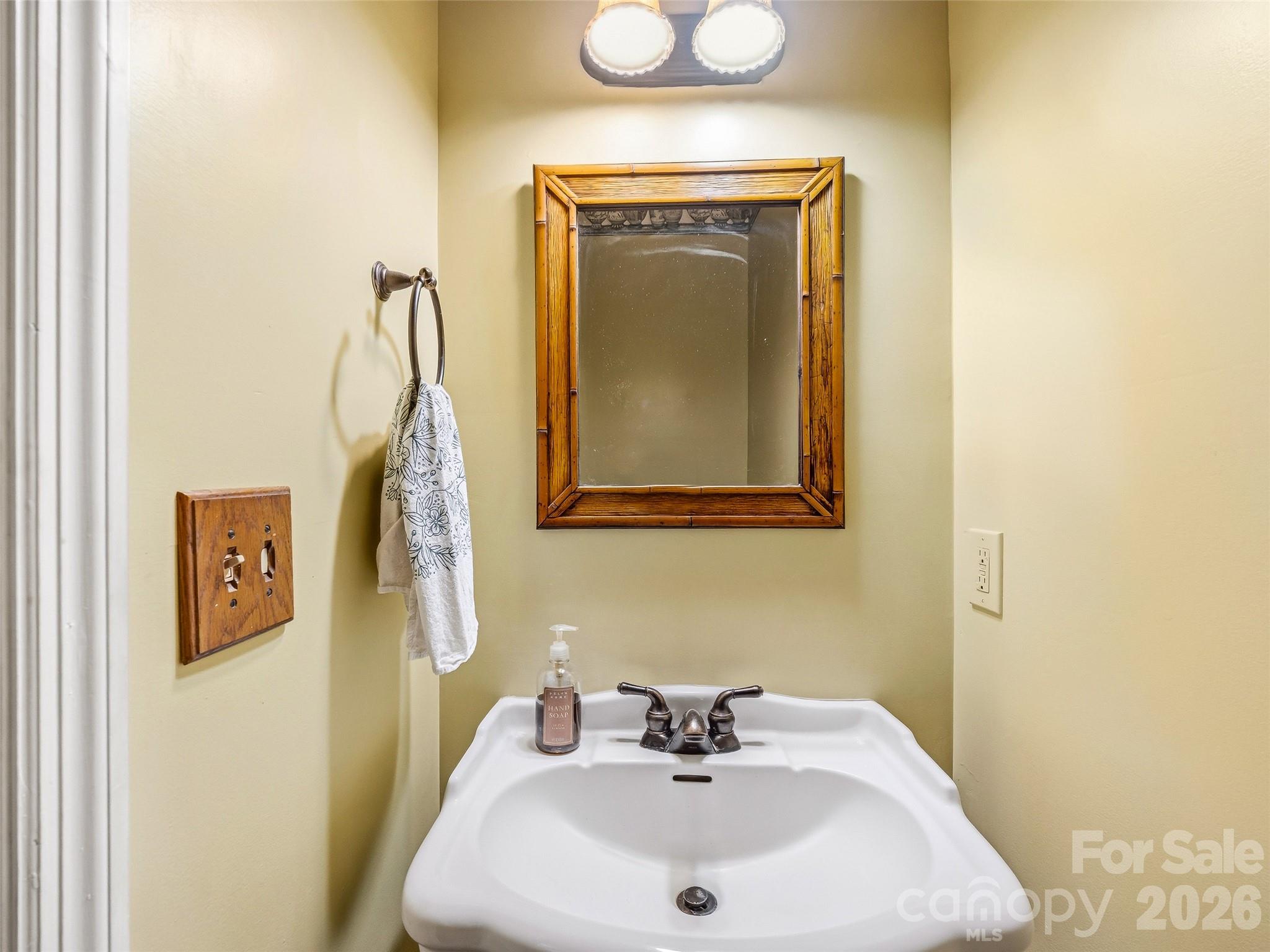 29 Panther Ridge Road Brevard, NC 28712 - Photo 24 of 48