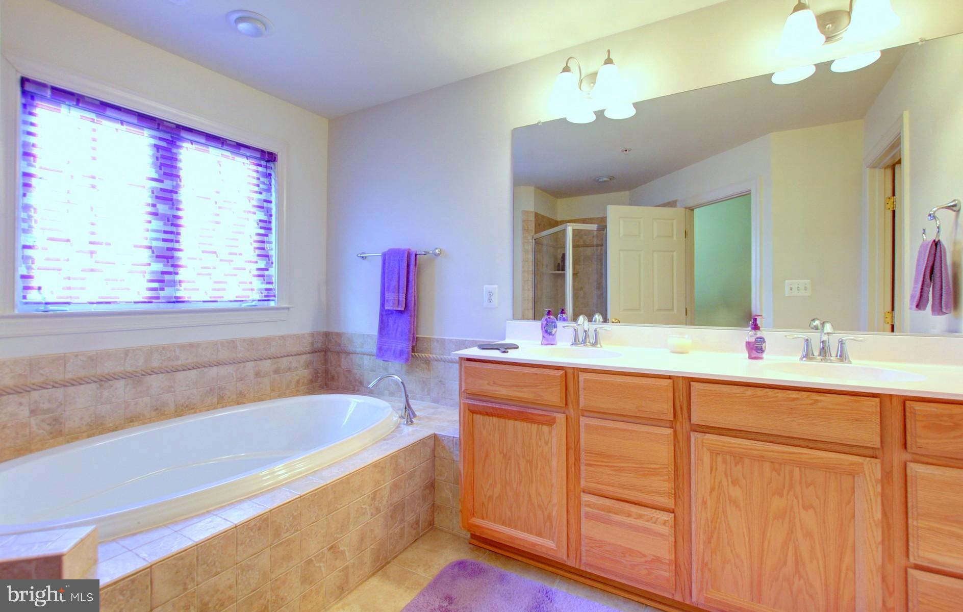 1552 Rutland Way Hanover, MD 21076 - Photo 22 of 28 Master bath with separate shower.