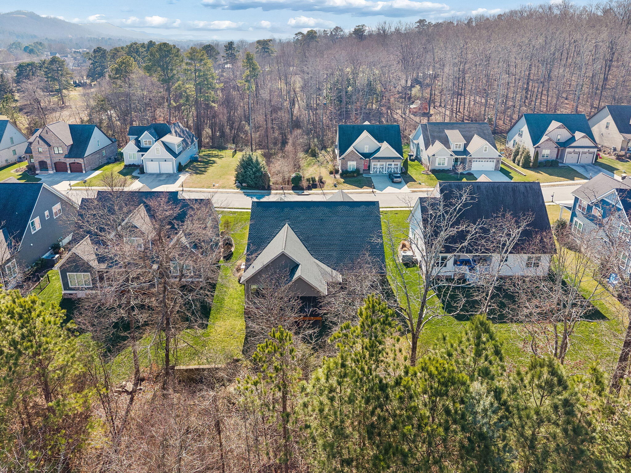 9463 Silver Stone Lane Ooltewah, TN 37363 - Photo 55 of 58 66-9463 Silver Stone Ln - 066