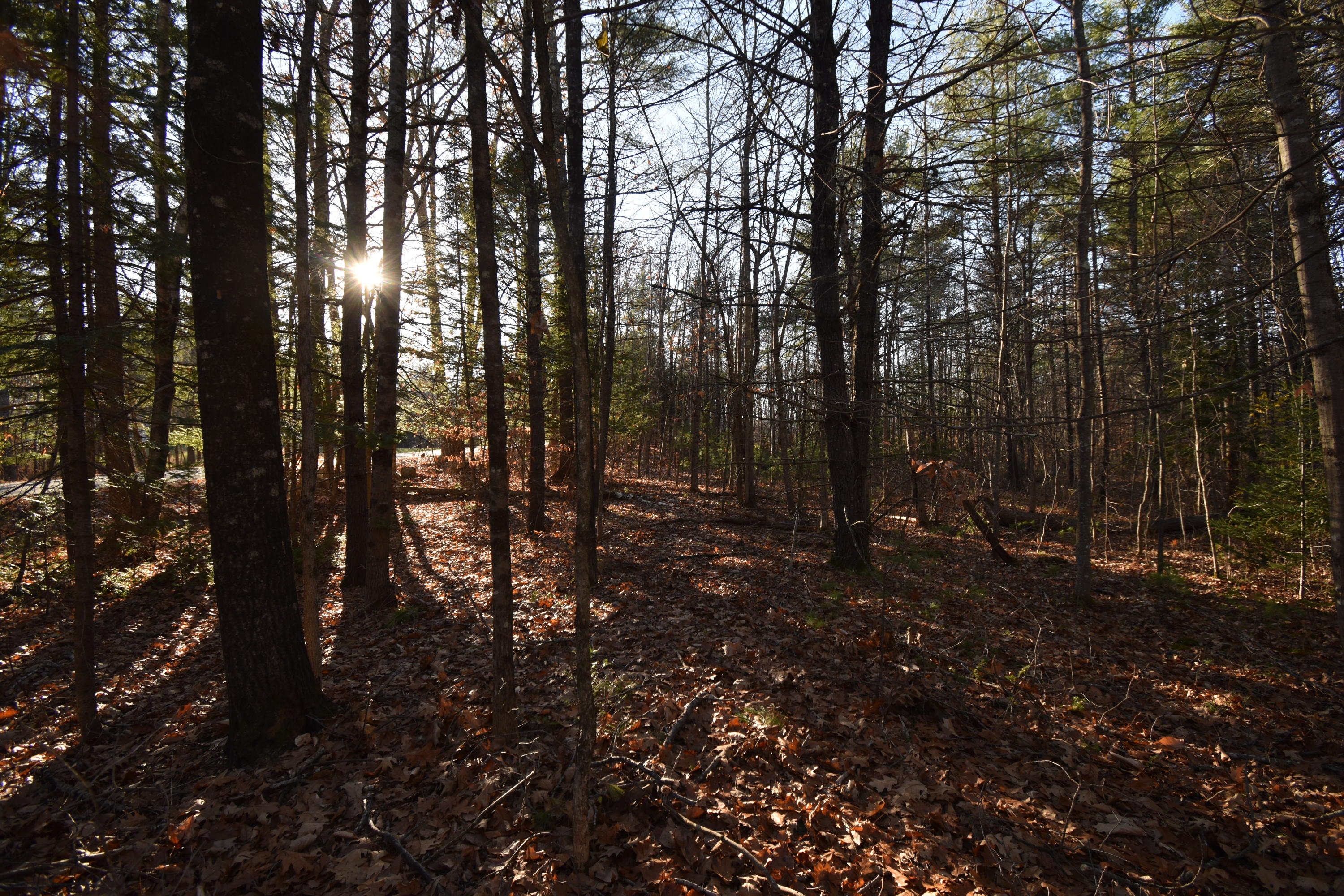 0 Lunts Hill Road Litchfield, ME 04350 - Photo 71 of 80 DSC_0928