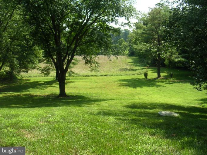 8703 Windsor Mill Road Windsor Mill, MD 21244 - Photo 25 of 30 Backyard View
