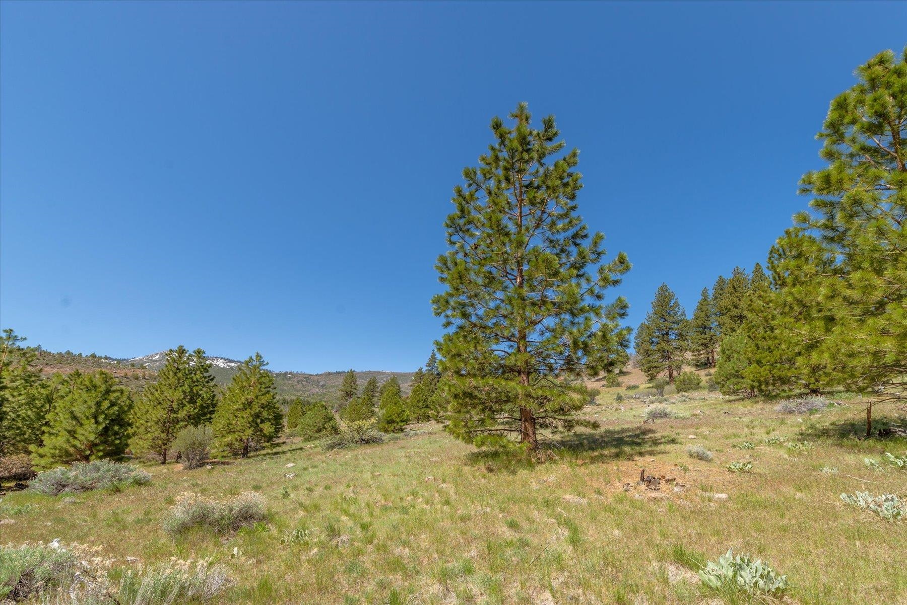 Feenune Road Loyalton, CA 96118 - Photo 27 of 28