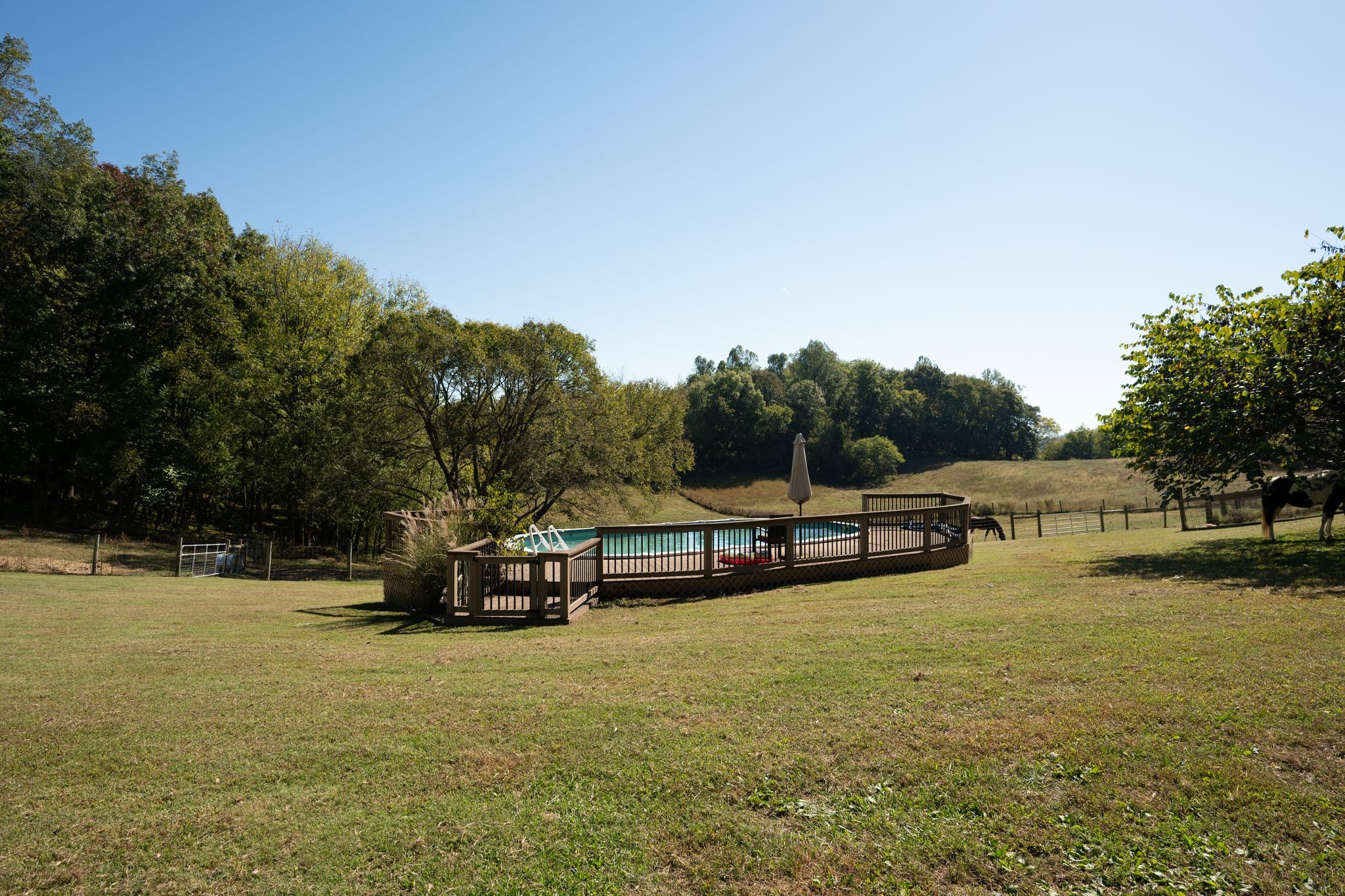 1377 Poor House Road Lewisburg, TN 37091 - Photo 38 of 78 Gallery Image 38