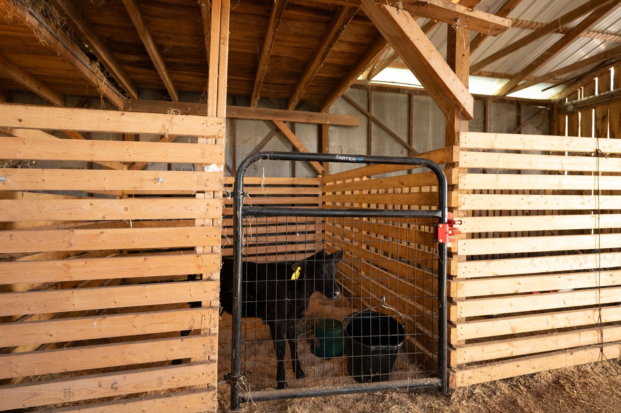 1377 Poor House Road Lewisburg, TN 37091 - Photo 50 of 78 Gallery Image 50