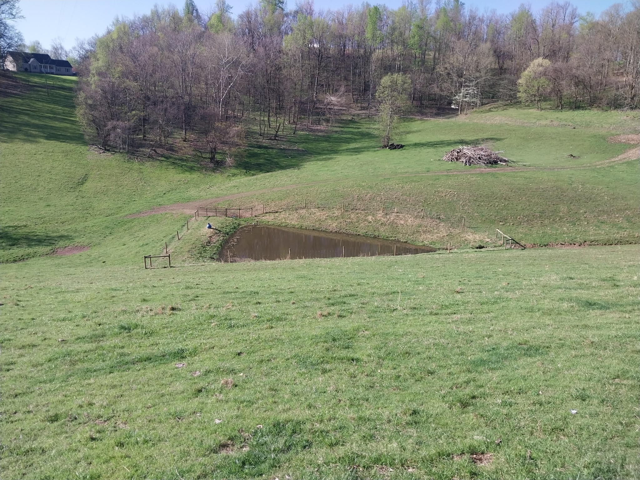 1377 Poor House Road Lewisburg, TN 37091 - Photo 56 of 78 Gallery Image 56