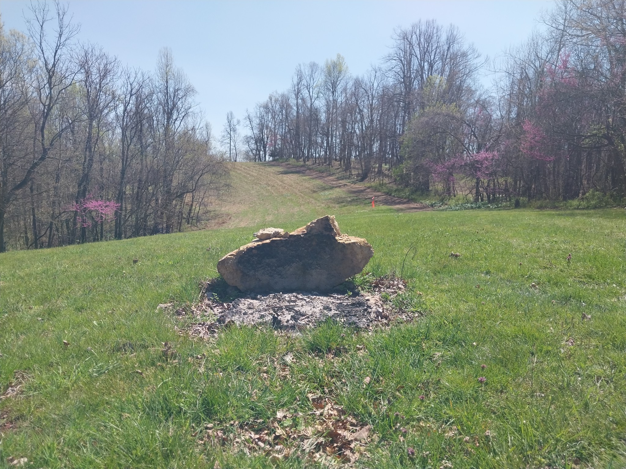 1377 Poor House Road Lewisburg, TN 37091 - Photo 57 of 78 Gallery Image 57