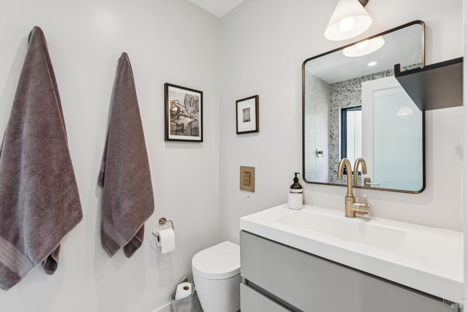 22 Clyde Avenue San Rafael, CA 94901 - Photo 44 of 66 a bathroom with a sink a toilet and mirror