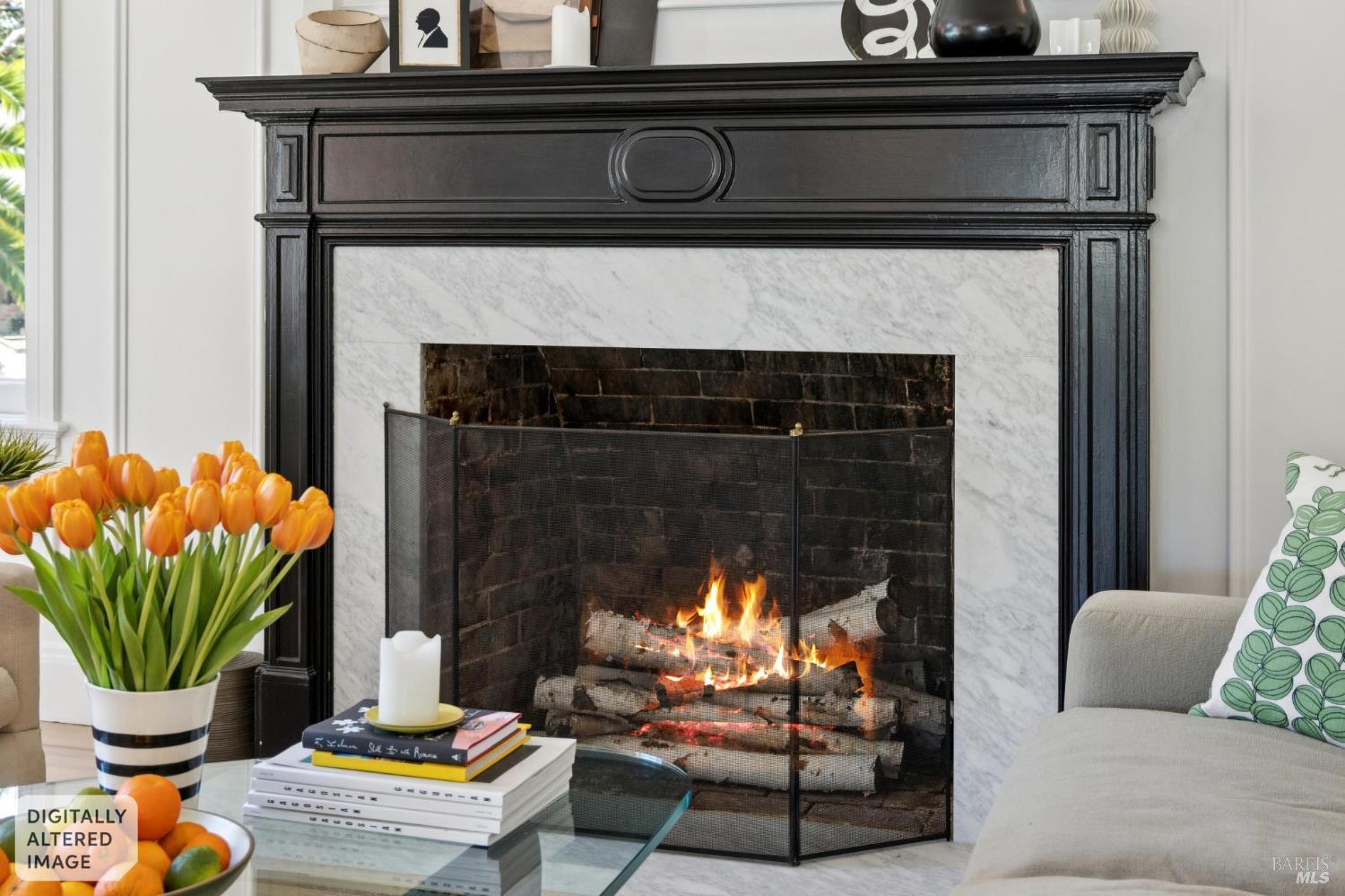 22 Clyde Avenue San Rafael, CA 94901 - Photo 6 of 66 a living room with furniture and a fireplace