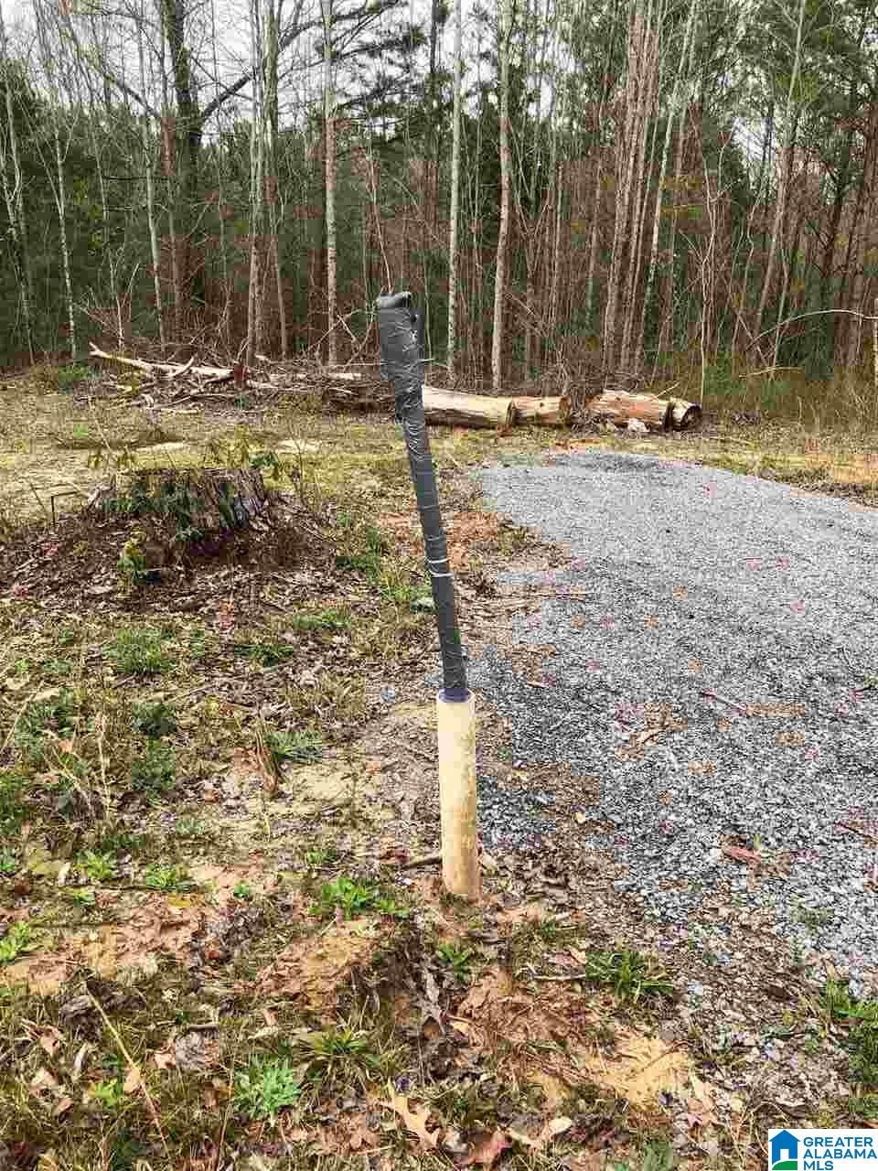 323 Yellow Hammer Road Blountsville, AL 35031 - Photo 6 of 9