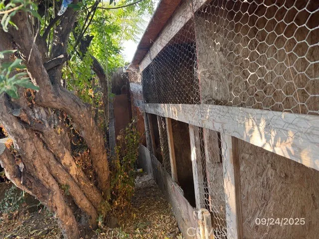 a view of backyard with wooden fence