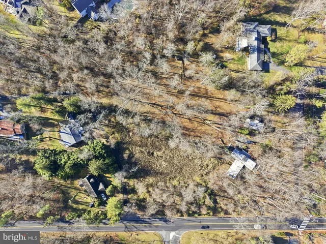 a view of yard covered with trees
