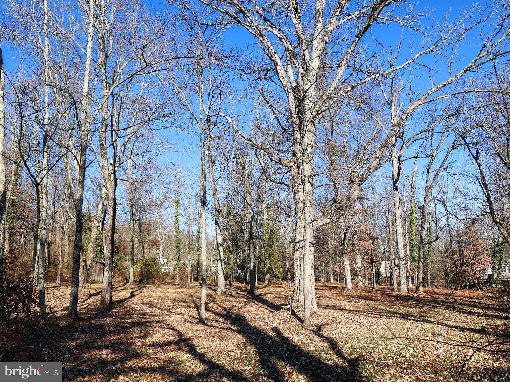 136 Red Hill Road East Princeton, NJ 08540 - Photo 12 of 17 a view of road with trees