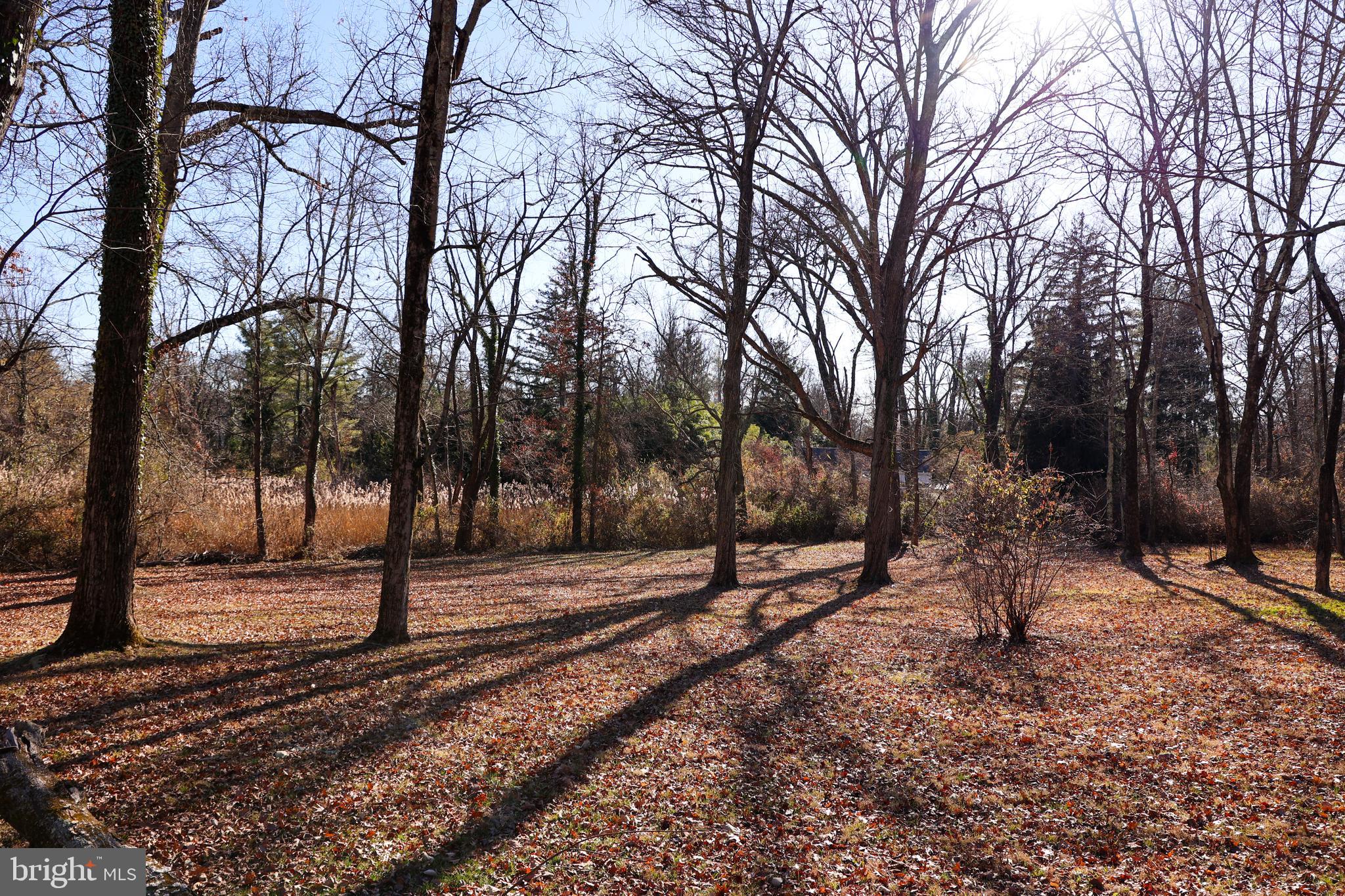 136 Red Hill Road East Princeton, NJ 08540 - Photo 14 of 17 a backyard of a house with lots of green space