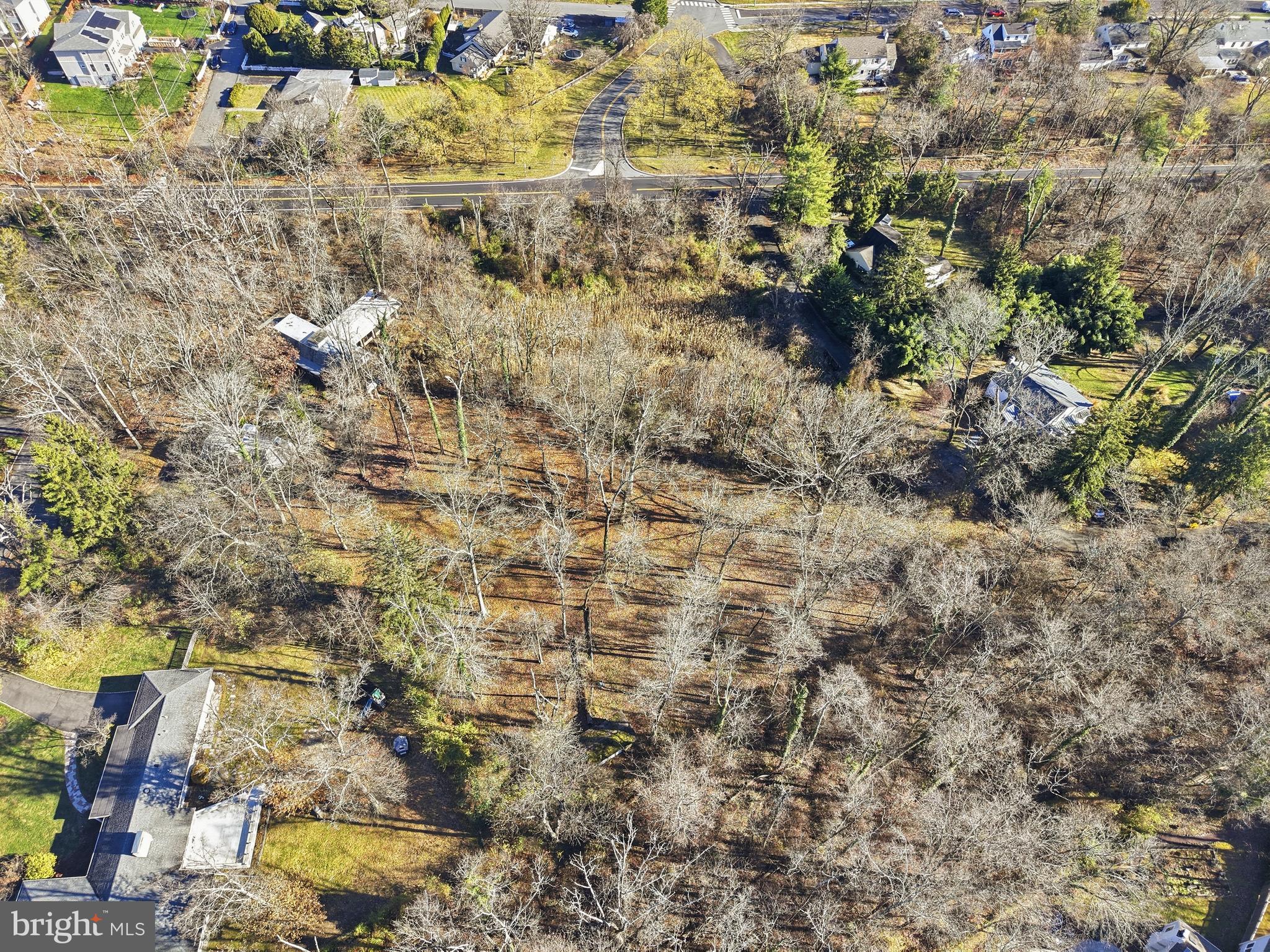 136 Red Hill Road East Princeton, NJ 08540 - Photo 6 of 17