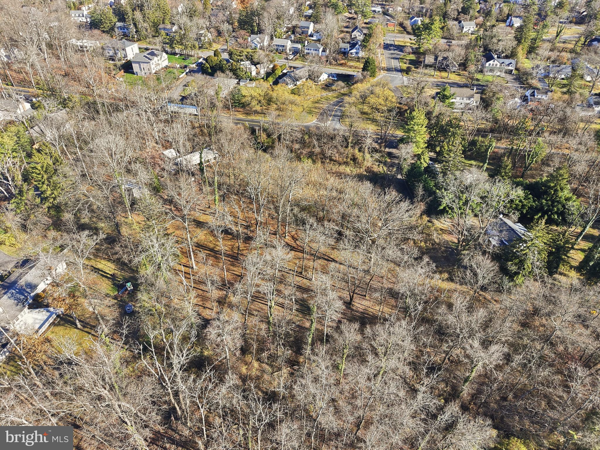 136 Red Hill Road East Princeton, NJ 08540 - Photo 9 of 17 a view of a covered with green space