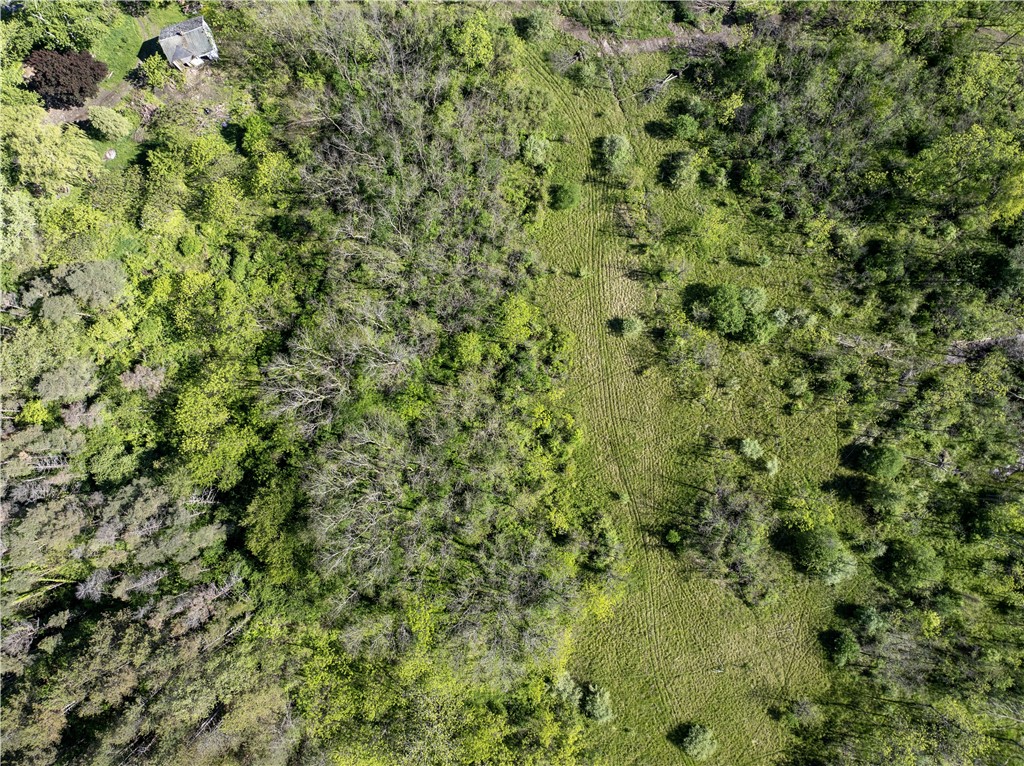 0 Esperanza Road Keuka Park, NY 14478 - Photo 4 of 17