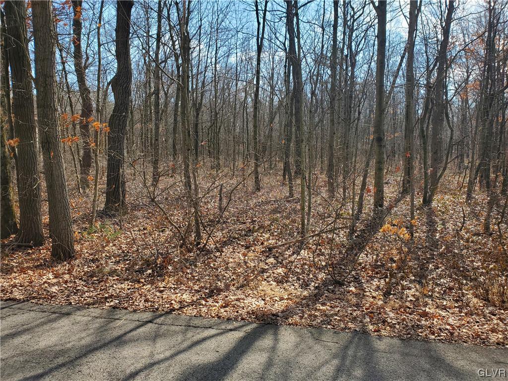 Robertson Road Jim Thorpe, PA 18229 - Photo 3 of 7 Gallery Image 3