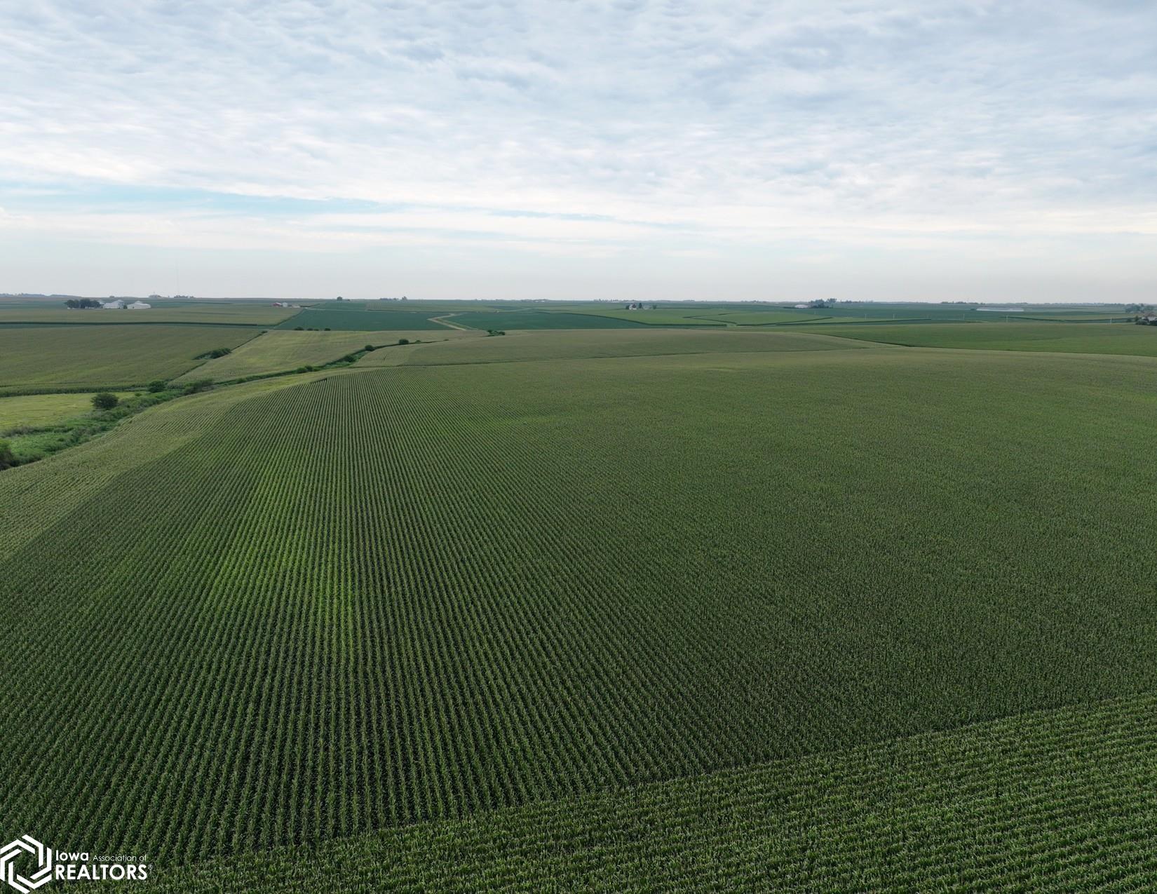 14th Avenue Keystone, IA 52249 - Photo 3 of 13 Gallery Image 3