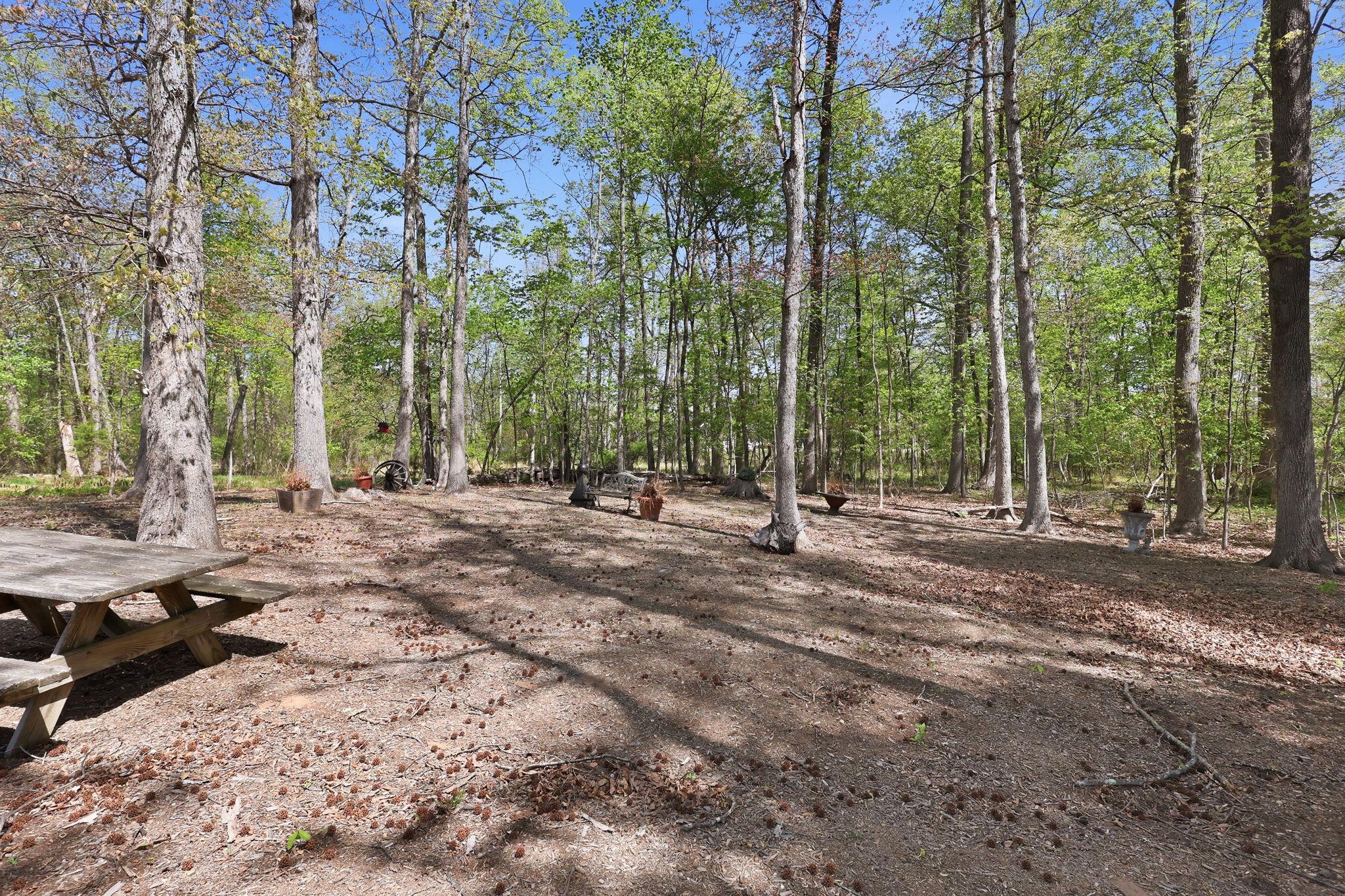 4590 Spring Run Road Warrenton, VA 20187 - Photo 55 of 73 Gallery Image 55