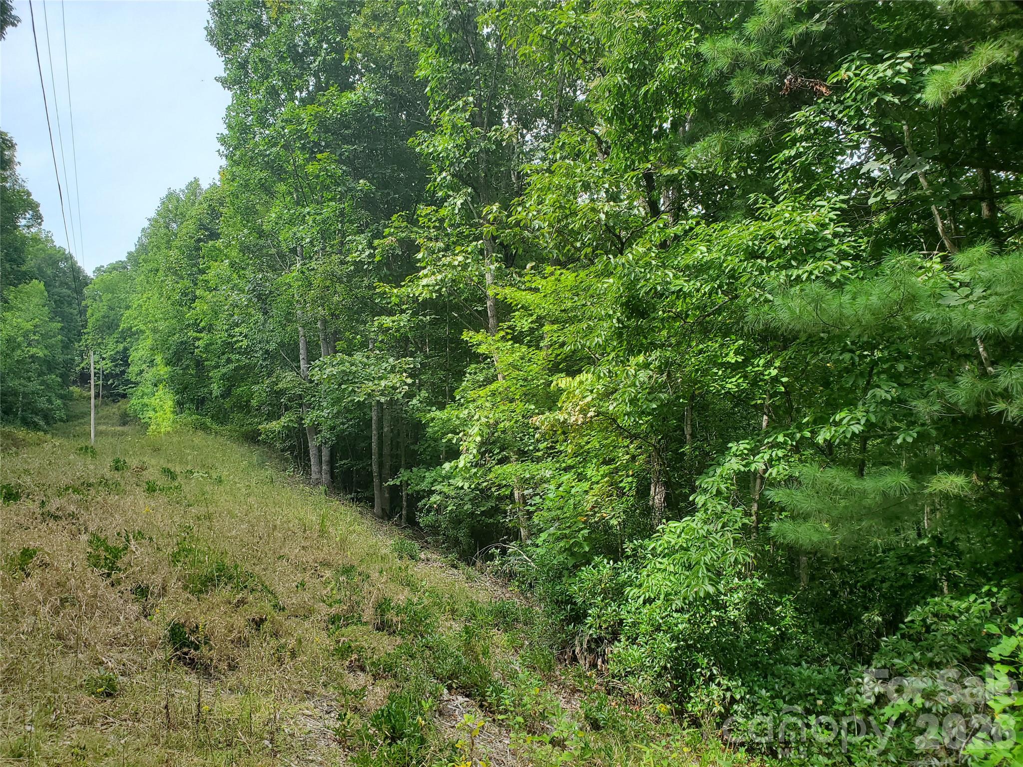 3024 Pearson Mountain Road Boomer, NC 28606 - Photo 18 of 39 Gallery Image 18