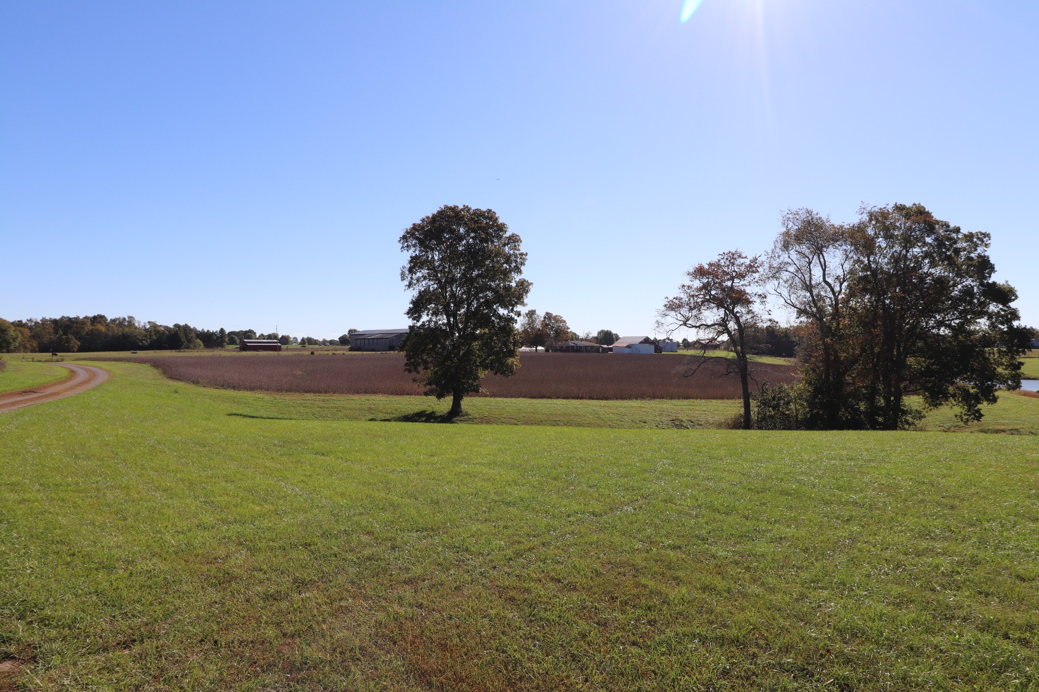 1180 Coleytown Road Lafayette, TN 37083 - Photo 38 of 42 a backyard of a house with lots of green space