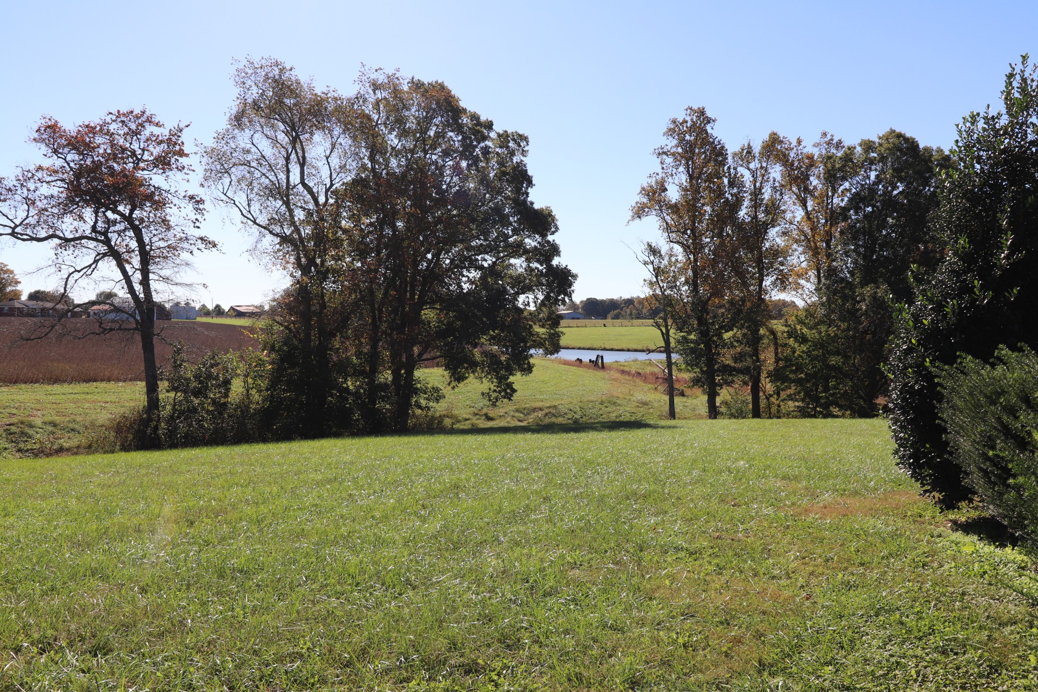 1180 Coleytown Road Lafayette, TN 37083 - Photo 39 of 42 a view of a trees with a yard