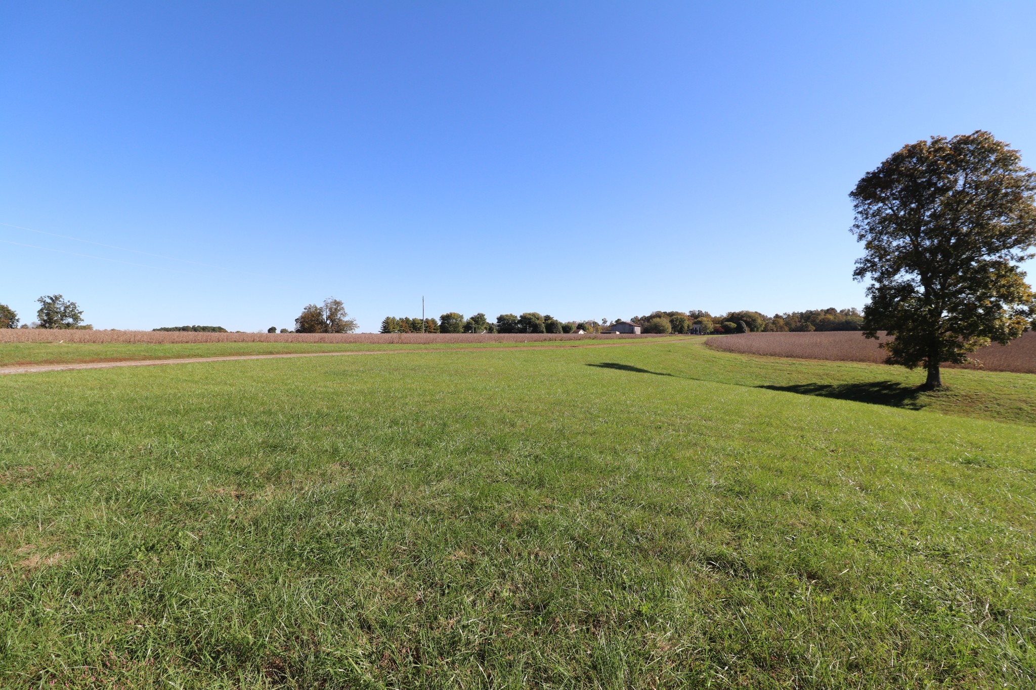 1180 Coleytown Road Lafayette, TN 37083 - Photo 40 of 42 a view of yard with ocean view