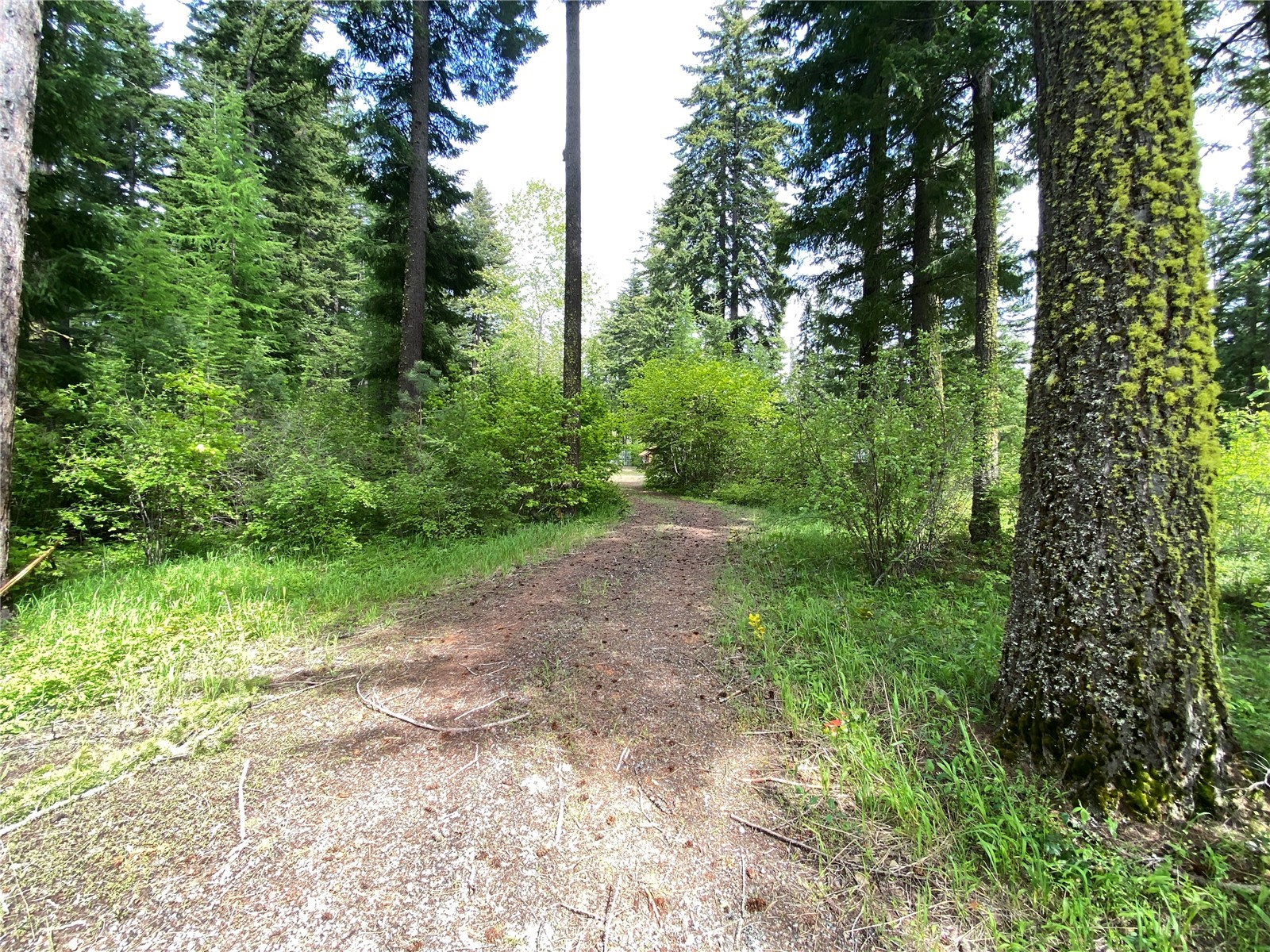 10771 Westside Road Cle Elum, WA 98922 - Photo 3 of 18 Gallery Image 3