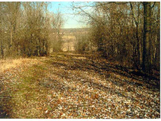 Lot 23 Rough And Ready Road New Concord, OH 43762 - Photo 1 of 1 Gallery Image 1