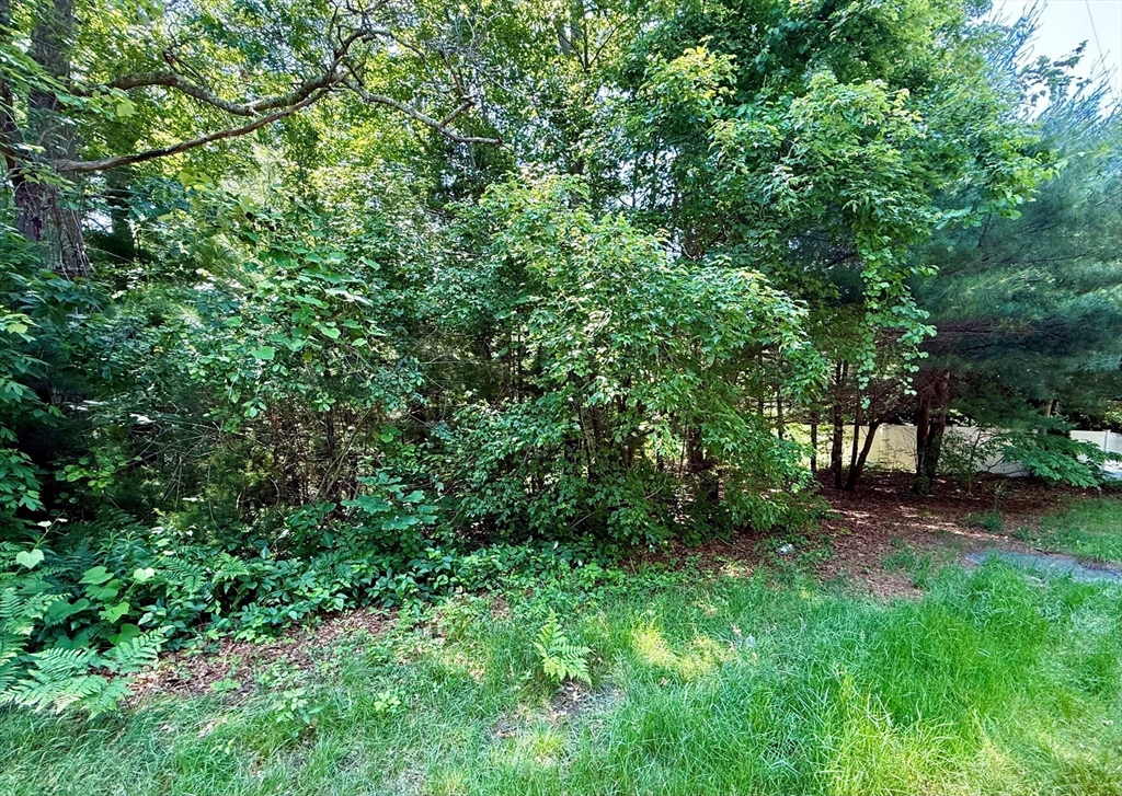 28 Sandwich Road Falmouth, MA 02536 - Photo 3 of 3